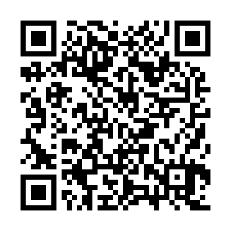 QR code for CZP924