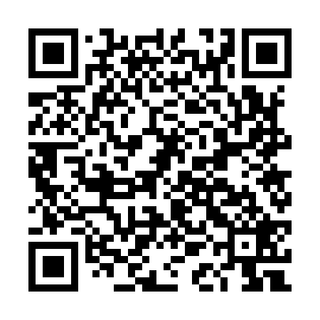 QR code for DAG929