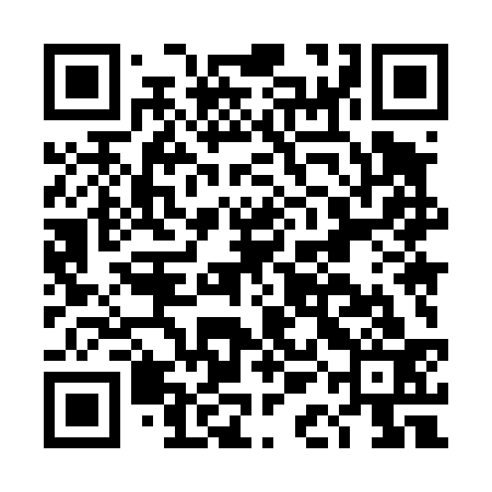 QR code for DAM433