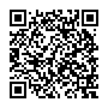 QR code for DAO298