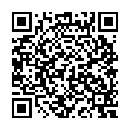 QR code for DCA393