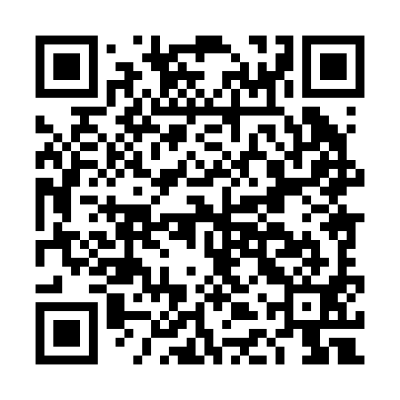 QR code for DDX291