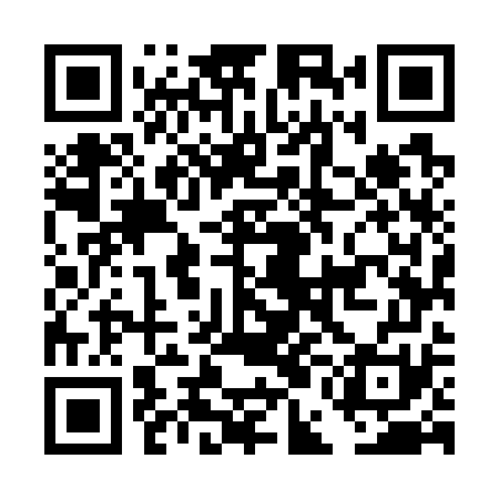 QR code for DEM771