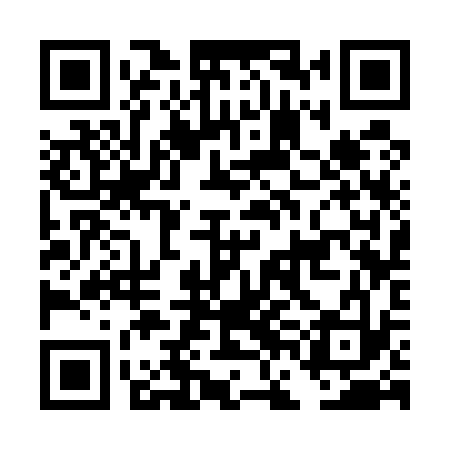 QR code for DFC533