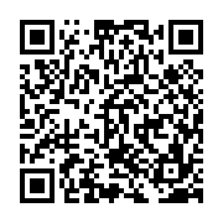 QR code for DFE036