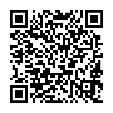 QR code for DFU393