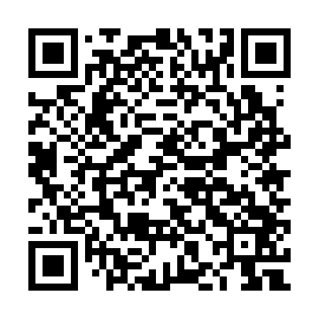 QR code for DHE343