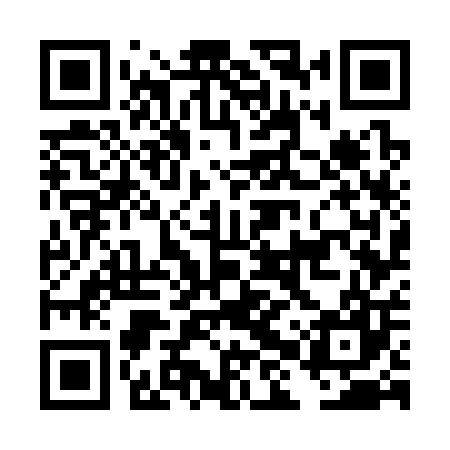 QR code for DHW307