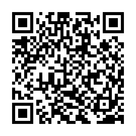 QR code for DIA133