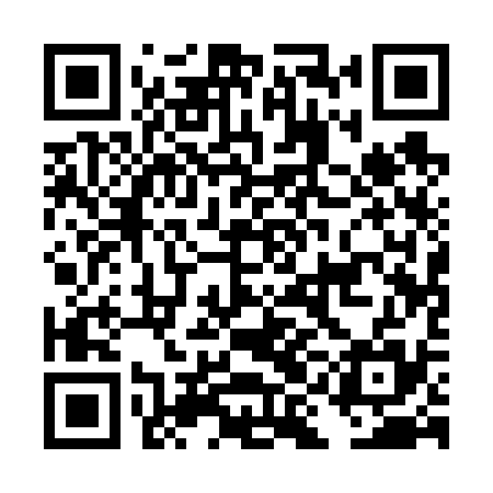 QR code for DIA635