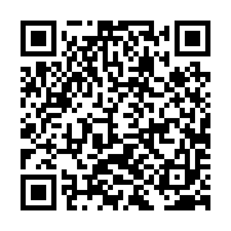 QR code for DID293
