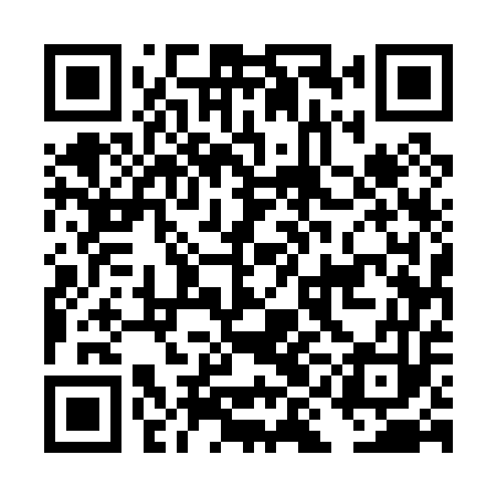QR code for DIE053
