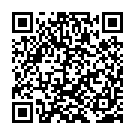 QR code for DIE297