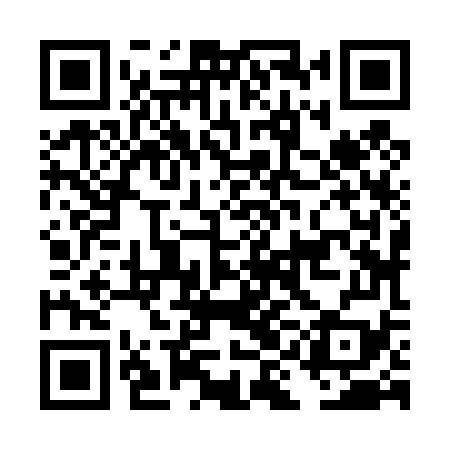 QR code for DIJ479