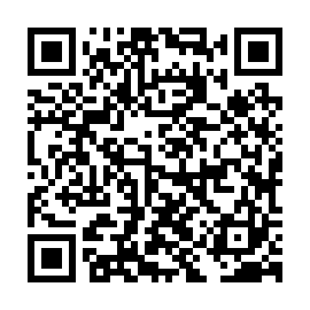 QR code for DIZ223