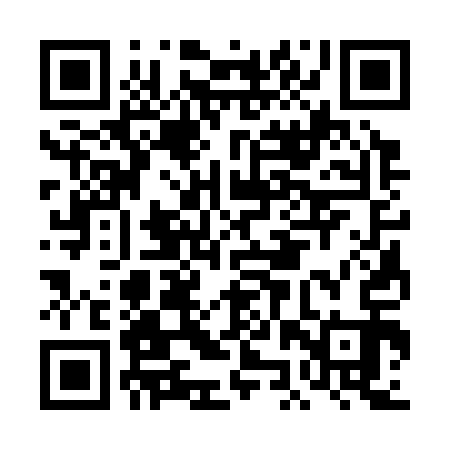QR code for DJS313