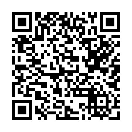QR code for DKM394