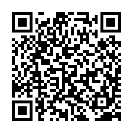 QR code for DLR294