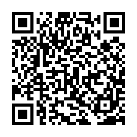 QR code for DLT597