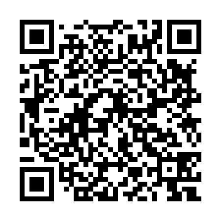 QR code for DMS838