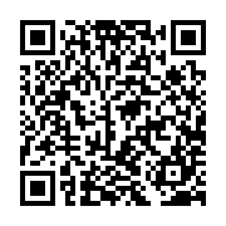 QR code for DMT384