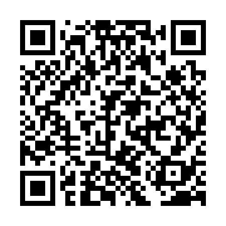 QR code for DMW338