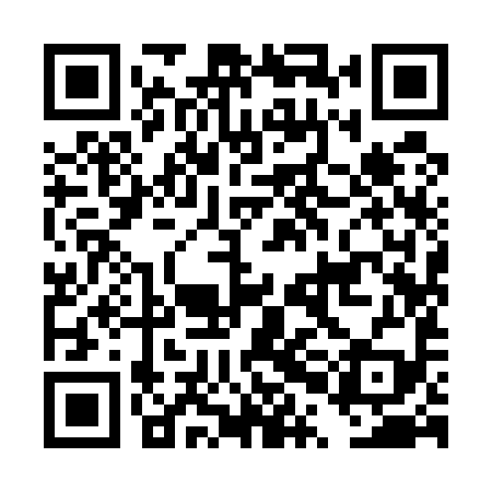 QR code for DPI599