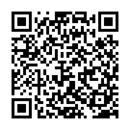 QR code for DPM241
