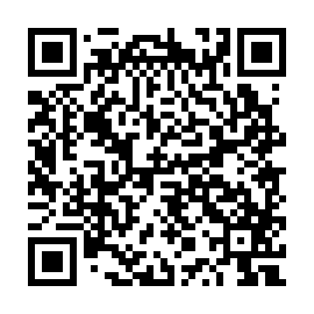 QR code for DPP387