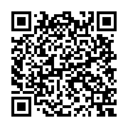 QR code for DPP521