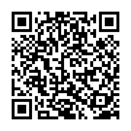 QR code for DPS029
