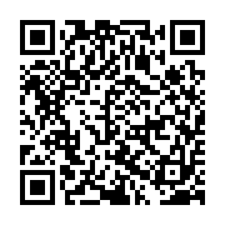 QR code for DPS313
