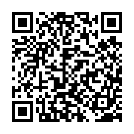 QR code for DQD653