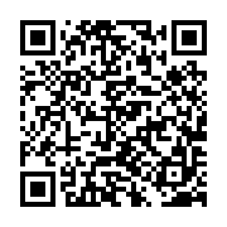 QR code for DQL292