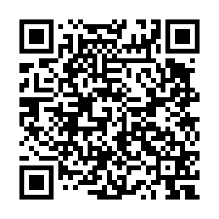 QR code for DSC461