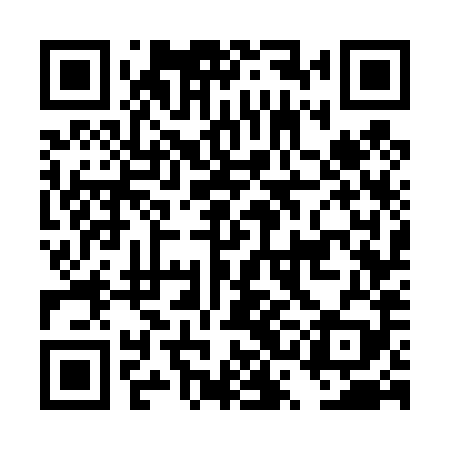 QR code for DSG489