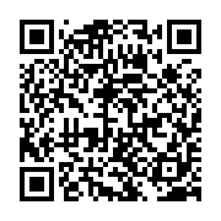 QR code for DSG990