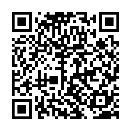 QR code for DSN335