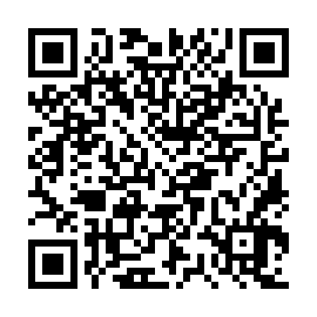 QR code for DSO166