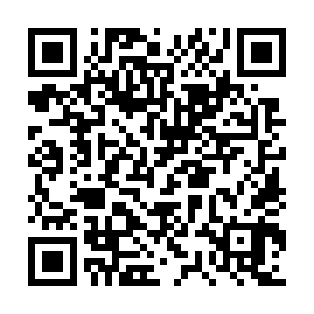 QR code for DSO740