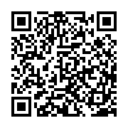 QR code for DSP173
