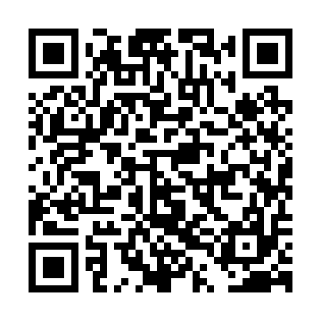 QR code for DTI217