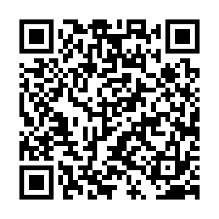 QR code for DTT333