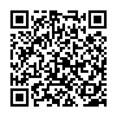 QR code for DUB538