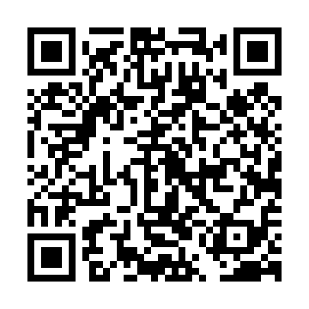 QR code for DUD419