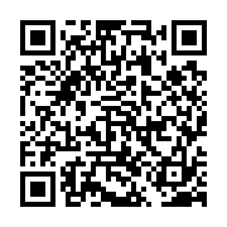 QR code for DUO733