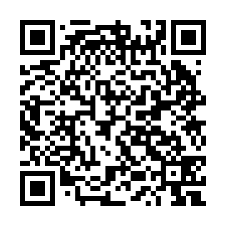 QR code for DUS239