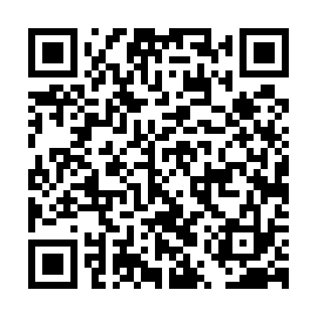 QR code for DUT533