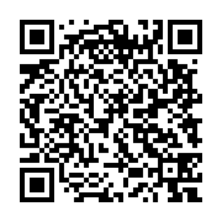 QR code for DUT538