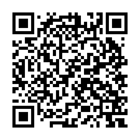 QR code for DUZ263